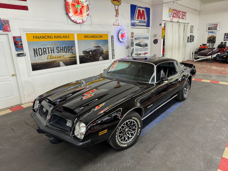 1975 Pontiac Firebird for sale in Mundelein, Illinois (ID-127737)