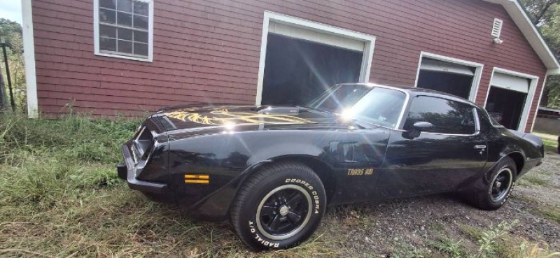 1975 Pontiac Firebird for sale in Michigan (ID-133983) 1975 Pontiac Firebird for sale in Michigan (ID-133983)