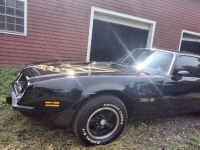 1975 Pontiac Firebird for sale in Michigan (ID-133983)