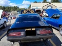1975 Pontiac Firebird for sale in Michigan (ID-133983)