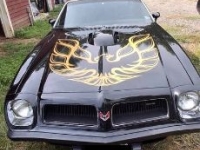 1975 Pontiac Firebird for sale in Michigan (ID-133983)