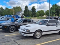 1975 Pontiac Firebird for sale in Michigan (ID-133983)