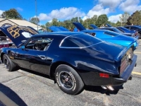 1975 Pontiac Firebird for sale in Michigan (ID-133983)