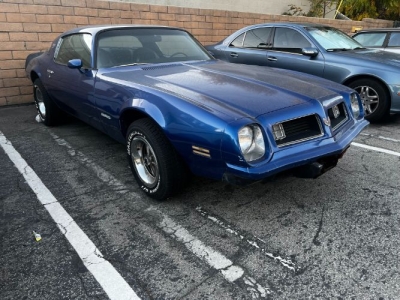 1975 Pontiac Firebird for sale