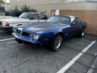 1975 Pontiac Firebird for sale in Michigan (ID-138893)