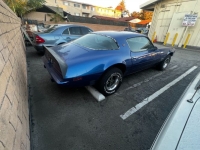 1975 Pontiac Firebird for sale in Michigan (ID-138893)