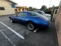 1975 Pontiac Firebird for sale in Michigan (ID-138893)
