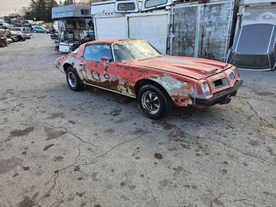 1975 Pontiac Firebird for sale