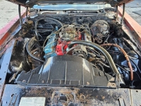 1975 Pontiac Firebird for sale in Michigan (ID-138907)