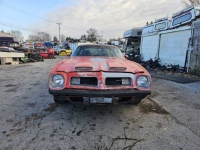 1975 Pontiac Firebird for sale in Michigan (ID-138907)