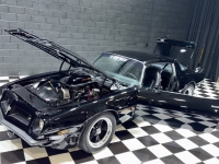1975 Pontiac Firebird for sale in Addison, Illinois (ID-144330)