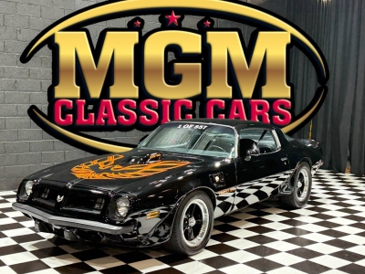 1975 Pontiac Firebird for sale