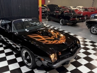 1975 Pontiac Firebird for sale in Addison, Illinois (ID-144330)