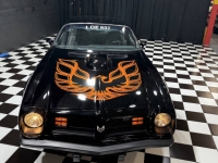 1975 Pontiac Firebird for sale in Addison, Illinois (ID-144330)