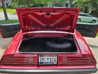 1975 Pontiac Firebird for sale in Michigan (ID-144800)