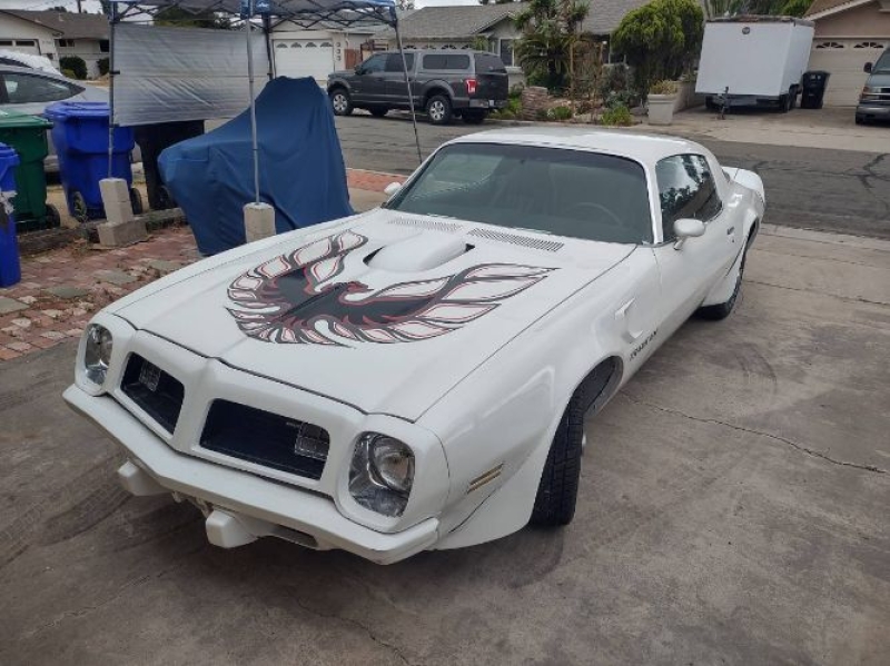 1975 Pontiac Firebird for sale in Michigan (ID-146158)