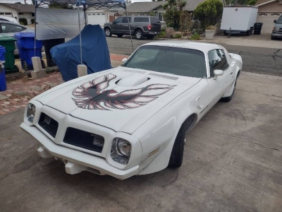 1975 Pontiac Firebird for sale