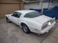 1975 Pontiac Firebird for sale in Michigan (ID-146158)