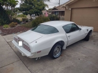 1975 Pontiac Firebird for sale in Michigan (ID-146158)