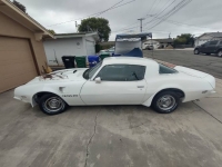 1975 Pontiac Firebird for sale in Michigan (ID-146158)