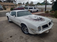1975 Pontiac Firebird for sale in Michigan (ID-146158)