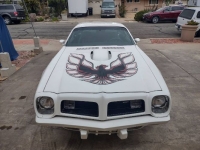 1975 Pontiac Firebird for sale in Michigan (ID-146158)