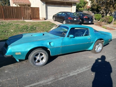 1975 Pontiac Firebird for sale