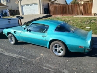 1975 Pontiac Firebird for sale in Michigan (ID-146480)