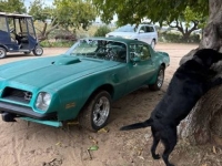 1975 Pontiac Firebird for sale in Michigan (ID-146480)