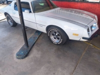 1975 Pontiac Firebird for sale in Michigan (ID-161716)