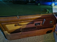 1975 Pontiac Firebird for sale in Michigan (ID-161716)