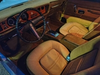 1975 Pontiac Firebird for sale in Michigan (ID-161716)