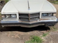 1975 Pontiac Grand Ville for sale in Michigan (ID-126148)