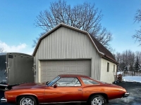 1975 Pontiac LeMans for sale in Michigan (ID-124274)