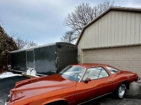 1975 Pontiac LeMans for sale in Michigan (ID-124274)