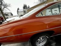1975 Pontiac LeMans for sale in Michigan (ID-124274)