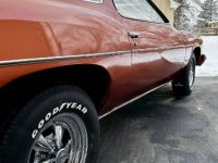 1975 Pontiac LeMans for sale in Michigan (ID-124274)