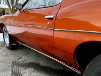 1975 Pontiac LeMans for sale in Michigan (ID-124274)