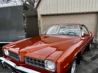 1975 Pontiac LeMans for sale in Michigan (ID-124274)