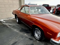 1975 Pontiac LeMans for sale in Michigan (ID-124274)