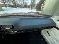 1975 Pontiac LeMans for sale in Michigan (ID-124274)