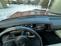1975 Pontiac LeMans for sale in Michigan (ID-124274)