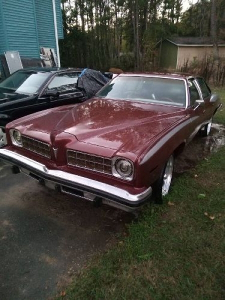 1975 Pontiac LeMans for sale in Michigan (ID-155018)