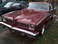 1975 Pontiac LeMans for sale in Michigan (ID-155018)