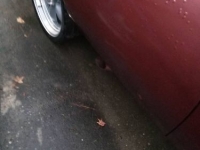 1975 Pontiac LeMans for sale in Michigan (ID-155018)