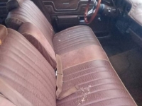 1975 Pontiac LeMans for sale in Michigan (ID-155018)