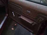 1975 Pontiac LeMans for sale in Michigan (ID-155018)