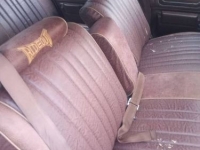 1975 Pontiac LeMans for sale in Michigan (ID-155018)