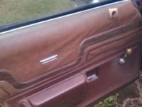 1975 Pontiac LeMans for sale in Michigan (ID-155018)