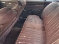 1975 Pontiac LeMans for sale in Michigan (ID-155018)